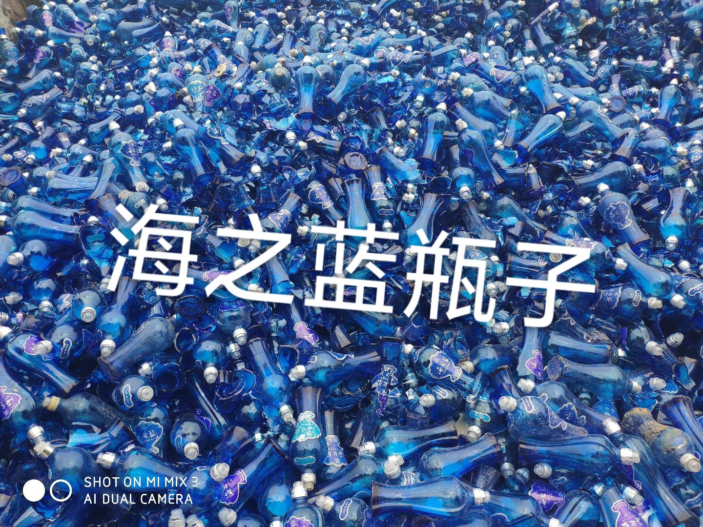 南通海之蓝瓶回收
